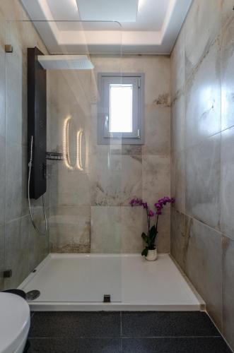 a bathroom with a shower with a toilet and a window at Naxos Pantheon Luxury Apartments in Agkidia