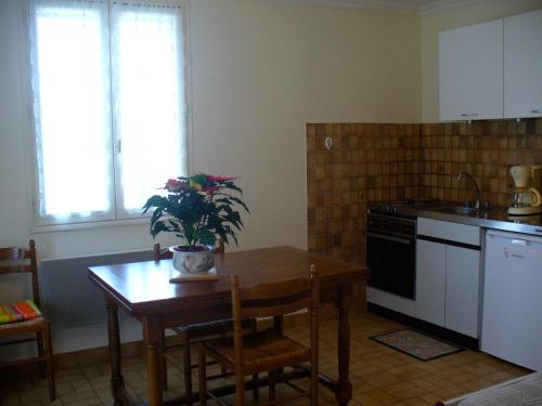 une cuisine avec une table et une plante. dans l'établissement Gite de la Tréherais, à Saint-Malo