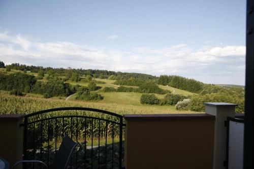 a view of a vineyard from a balcony at Ferienhof Uhudler-Arkaden in Stegersbach