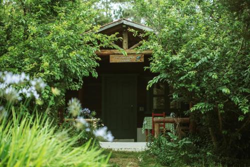 a cabin with a green door in the middle of trees at Villa Pajon Eco Lodge in Constanza