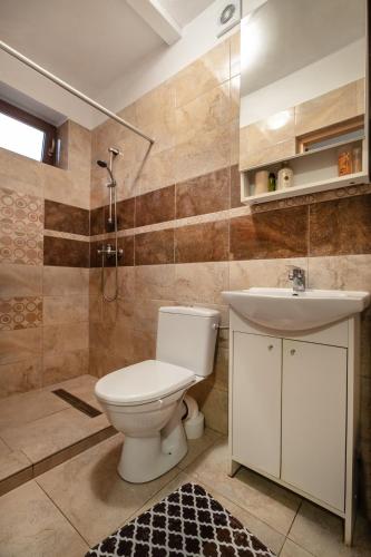 a bathroom with a toilet and a sink at Wakacyjny Dom Dawidówka in Wisła