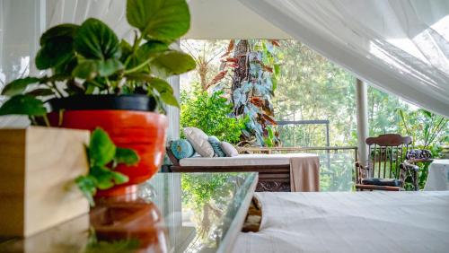Сад в Ruth's Bed & Breakfast