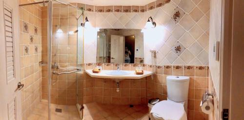 a bathroom with a shower and a toilet and a sink at Fazhana Village B&B in Hualien City