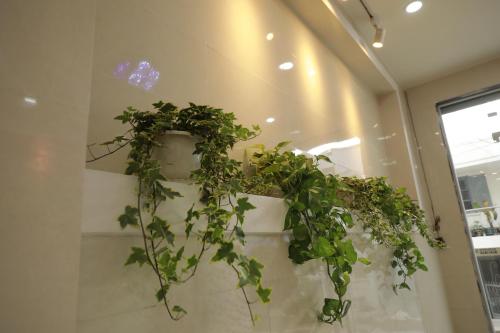 a potted plant on a wall in a room at VES - PA Luxury Hotel in Da Lat