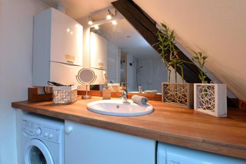 une salle de bain avec un lavabo et un miroir dans l'établissement Appartement L'Elégant de la Petite Venise, à Colmar