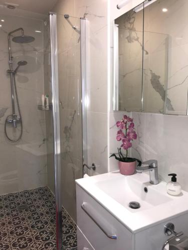 ein Badezimmer mit Dusche, Waschbecken und Dusche in der Unterkunft Deauville Triangle d OR in Deauville