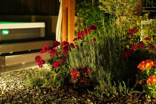 a garden with red flowers in front of a house at Meteora boutique villa A in Kalabaka
