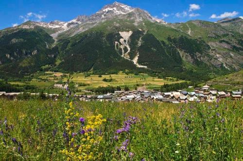 a mountain with a village in a field with flowers at CIS-Ethic Etapes de Val Cenis in Lanslebourg-Mont-Cenis