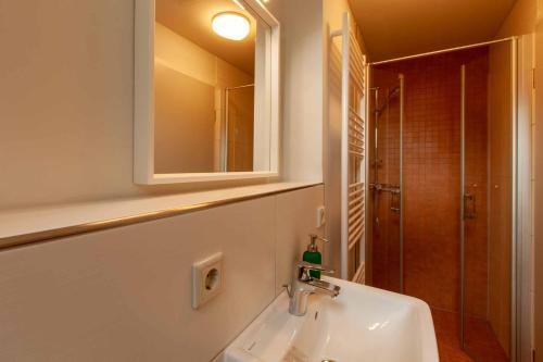 un bagno con lavandino, specchio e doccia di Brand-Baude a Hohnstein