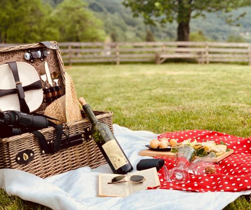 a picnic basket with a bottle of wine on a blanket at Zvjezdana dolina Garni hotel in Andrijevica