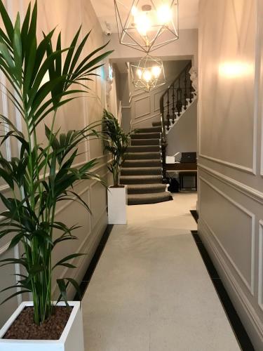 a hallway with stairs and a potted plant at Oxford Hotel in London