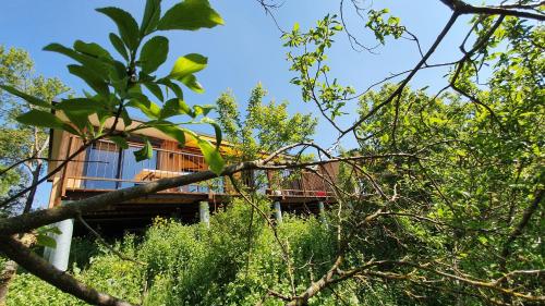 Κήπος έξω από το GLÜCK HOMES IPPESHEIM