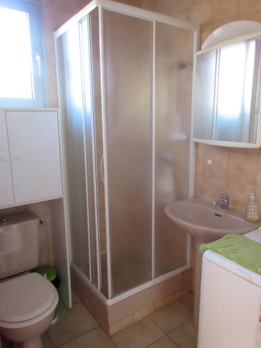 une salle de bain avec une douche, des toilettes et un lavabo dans l'établissement Apart climatisé T3 St Pierre la mer 1 er étage, 4 pers, à Fleury
