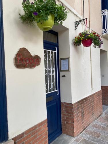 a door to a house with a pot of flowers at Poppys Chambres d'Hotes in Céret