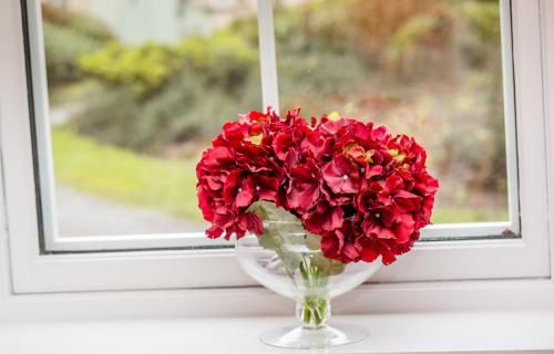 
a vase filled with flowers sitting on a window sill at Tigh Eilidh Cottage in St. Andrews
