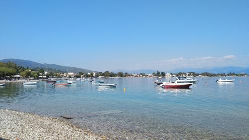 a bunch of boats sitting in the water at Plaz Hotel in Selianitika