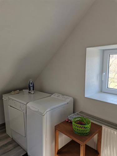 - une buanderie avec un lave-linge et une table dans l'établissement Gîte des biches, à Birkenwald