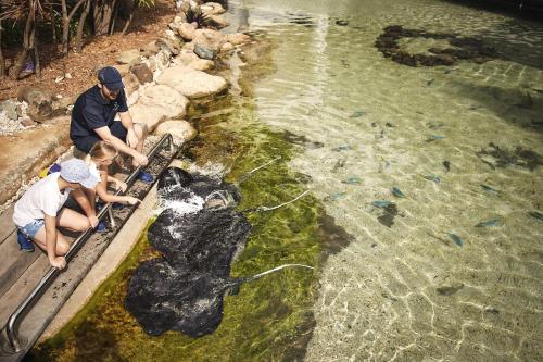 a couple of people and a bear in the water at Daydream Island Resort in Daydream Island