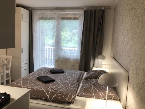 a bedroom with two beds in front of a window at Penzion V Roklich & Apartmens V Roklich in Ricany