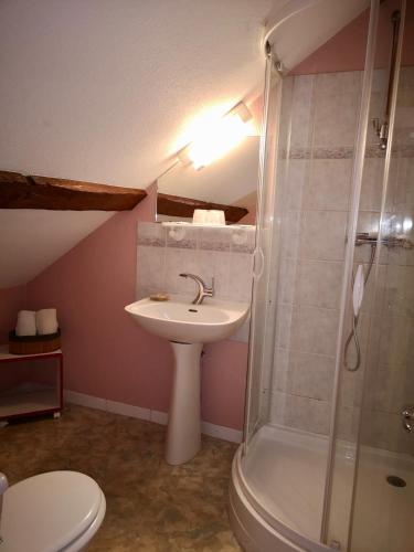 a bathroom with a sink and a shower and a toilet at "Maison D'hôtes du Prieuré" in Vignoux-sur-Barangeon