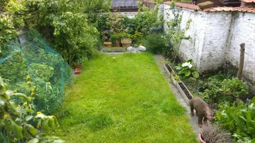 B&B Oostende picture