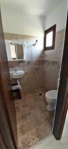 a bathroom with a toilet and a sink and a mirror at Olga Paltsi Rooms in Paltsi Pilion