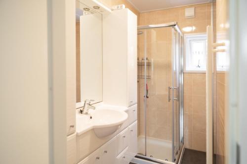 La salle de bains est pourvue d'un lavabo et d'une douche. dans l'établissement Chalet aan de kust, à Sint Maartensvlotbrug