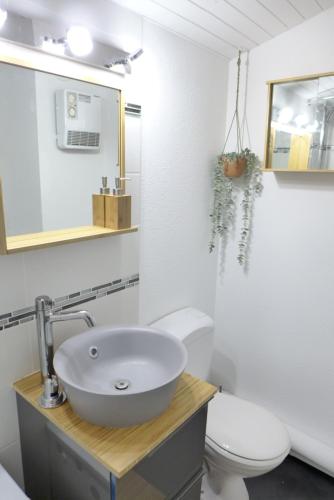 une salle de bain avec un lavabo et des toilettes dans l'établissement Réf 392 Seignosse océan , appartement VUE MER, proximité immédiate de la plage Idéal famille 4 personnes, à Seignosse