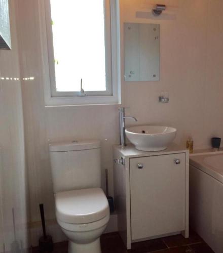 a bathroom with a white toilet and a sink at Tegid Lodge- Pine Lake Resort in Carnforth