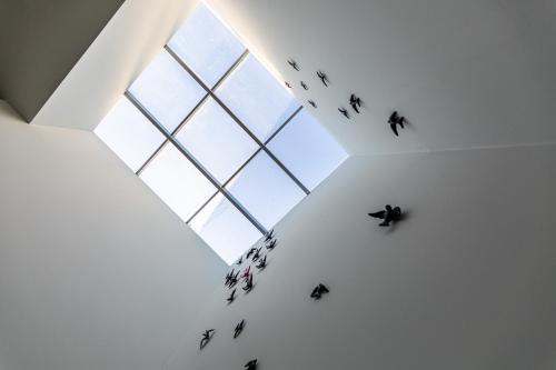 a group of birds flying in a room with a window at Boutique & Villas Boliqueime in Boliqueime