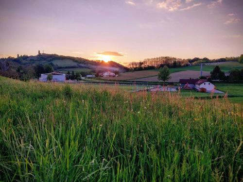 a field of grass with the sunset in the background at Holiday Home Rojko in Štrigova
