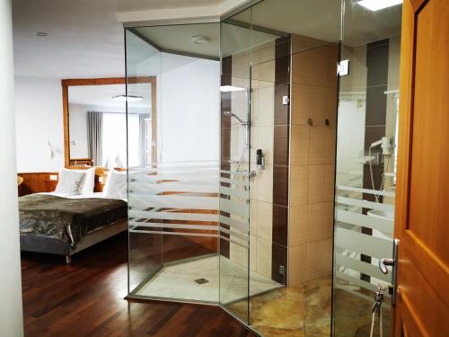 a glass shower in a bedroom with a bed at Das Stadthaus in Neusiedl am See