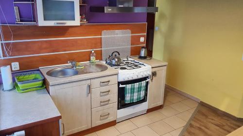 a small kitchen with a stove and a sink at Studio Ania in Stegna