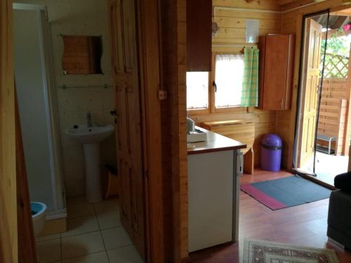 een keuken met een spoelbak en een aanrechtblad bij Domek Wakacyjny Kacperek Drewniany in Stegna