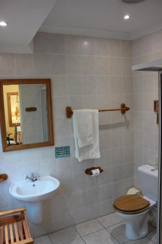 a bathroom with a sink and a toilet and a mirror at Old Oak Guest House in Bellville