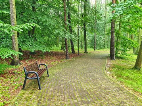 a bench sitting on a brick path in a park at Stacja Nowa Gdynia Bed & Breakfast Aquapark in Łódź