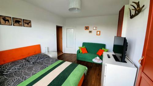 ein Schlafzimmer mit einem Bett, einem TV und einem Sofa in der Unterkunft Apartament Jeleń in Hajnówka