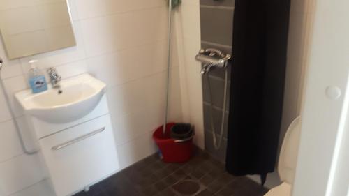 La petite salle de bains est pourvue d'un lavabo et d'une douche. dans l'établissement Asemantupa 1, à Pyhäsalmi