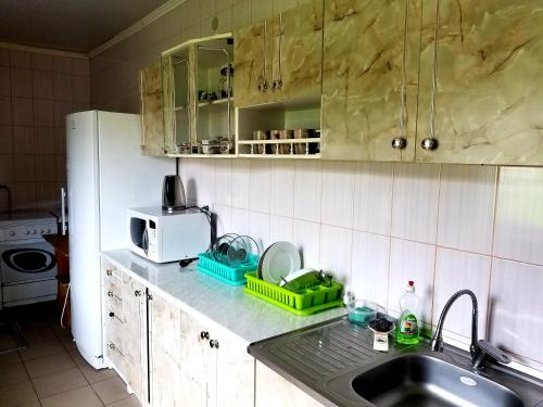 a kitchen counter with a sink and a microwave at Садиба Святослав in Skhidnitsa
