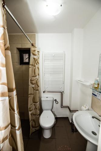 a small bathroom with a toilet and a sink at Casa de sub deal in Bîltişoara