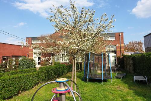 a tree in a yard next to a playground at De Oude School in Visé