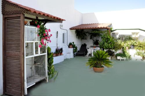 Billede fra billedgalleriet på Apartamento Zona Rural i Güimar