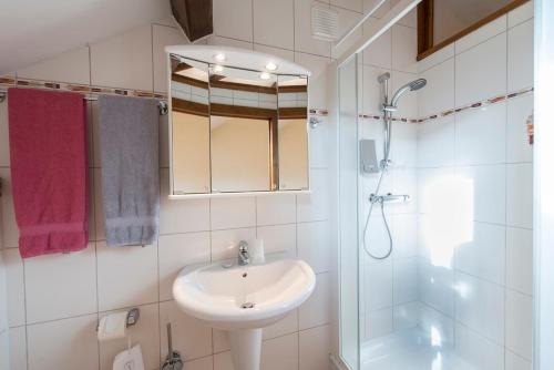 a white bathroom with a sink and a shower at Appart Hotel Au Pied de Vigne in Vresse-sur-Semois