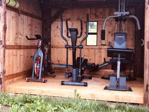 a gym with bikes and exercise equipment in it at Wellness Hotel Florián České Žleby in Stožec