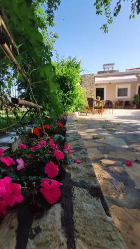Villa Thalia