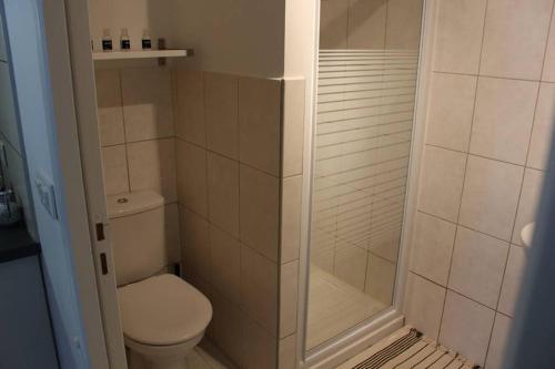 a small bathroom with a toilet and a shower at STUDIO MEUBLE 30 M2 LA LONDE LES MAURES , 900 M DES PLAGES in La Londe-les-Maures