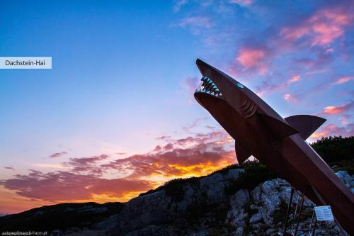 a fighter jet sitting on top of a mountain at sunset at Apartment Brigitte in Obertraun