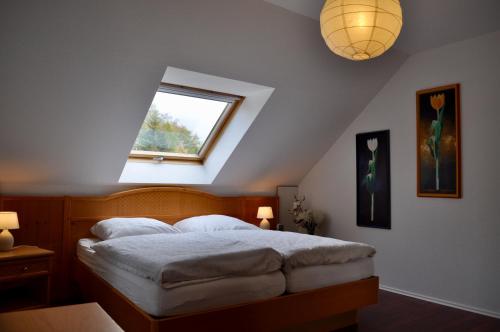 a bedroom with a bed with a skylight at Ferienwohnung An der Försterei in Öhrenfeld