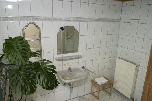 La salle de bains est pourvue d'un lavabo, d'un miroir et d'une plante. dans l'établissement Angela Steiger, à Bad Griesbach im Rottal