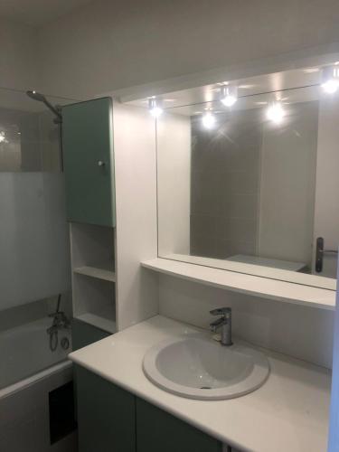 a bathroom with a sink and a mirror at Les tamaris in Saint-Brevin-les-Pins